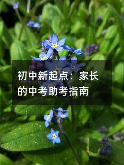 初中新起點:家長的中考助考指南