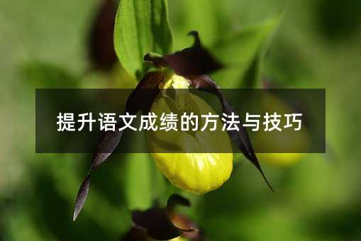 提升語文成績的方法與技巧