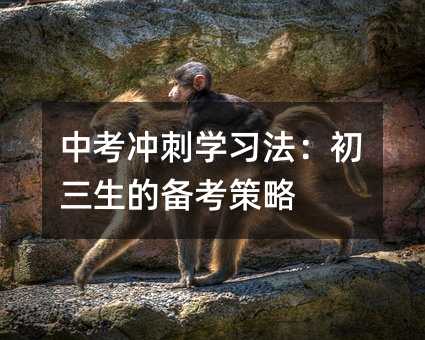中考沖刺學習法:初三生的備考策略