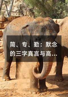 ڣĬc߿ĳɹ֮·