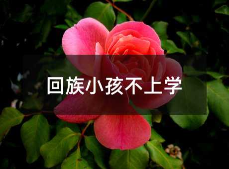 回族小孩不上學