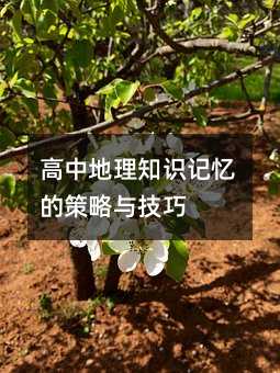 高中地理知識(shí)記憶的策略與技巧