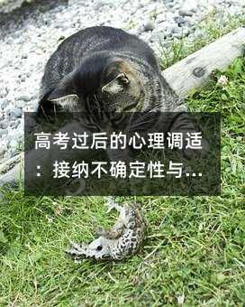 高考過后的心理調(diào)適:接納不確定性與釋放焦慮