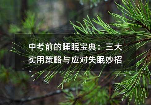 中考前的睡眠寶典:三大實用策略與應(yīng)對失眠妙招