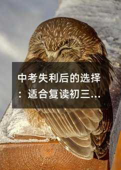 中考失利后的選擇:適合復讀初三的三類中學生