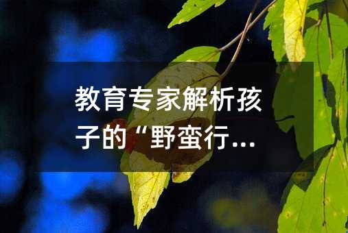 教育專家解析孩子的“野蠻行徑”