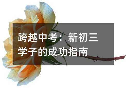 跨越中考:新初三學子的成功指南