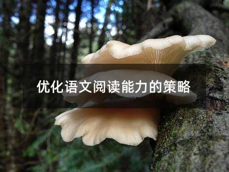 優(yōu)化語文閱讀能力的策略