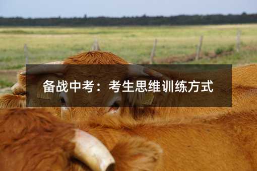 備戰中考:考生思維訓練方式