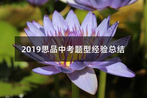 2019思品中考題型經驗總結