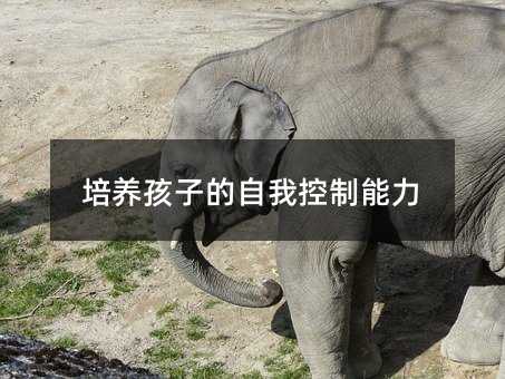 培養(yǎng)孩子的自我控制能力