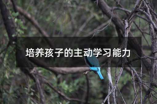 培養孩子的主動學習能力