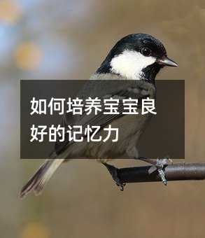 如何培養寶寶良好的記憶力