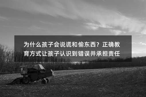 為什么孩子會說謊和偷東西?正確教育方式讓孩子認識到錯誤并承擔責任