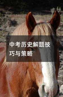 中考歷史解題技巧與策略