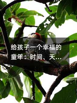 給孩子一個幸福的童年:時間、天性和智力的培養