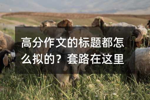 高分作文的標題都怎么擬的?套路在這里