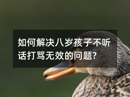 如何解決八歲孩子不聽話打罵無效的問題?