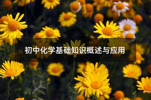 初中化學(xué)基礎(chǔ)知識(shí)概述與應(yīng)用