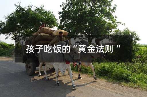 孩子吃飯的“黃金法則“
