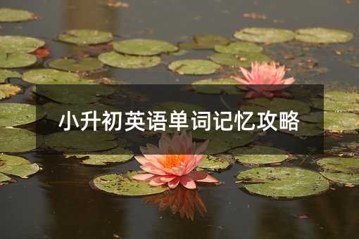 СӢZ~ӛ
