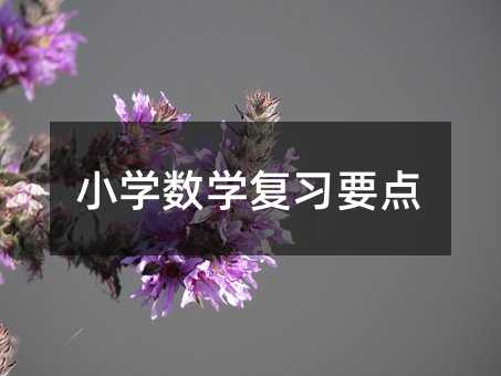 小學數(shù)學復習要點