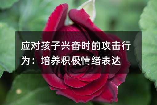 應對孩子興奮時的攻擊行為:培養積極情緒表達