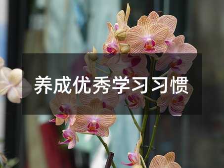 養成優秀學習習慣