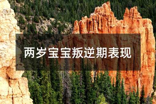 兩歲寶寶叛逆期表現