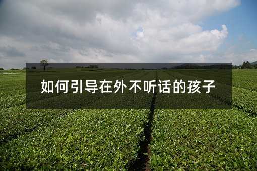 如何引導在外不聽話的孩子