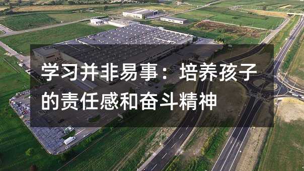 學習并非易事:培養孩子的責任感和奮斗精神