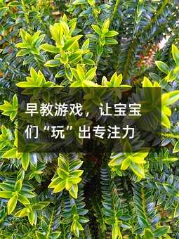Α׌桱ע