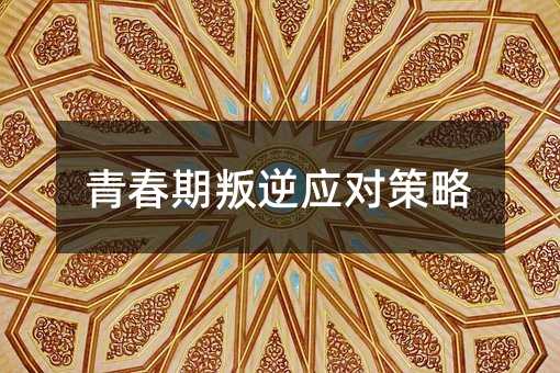 ഺ摪