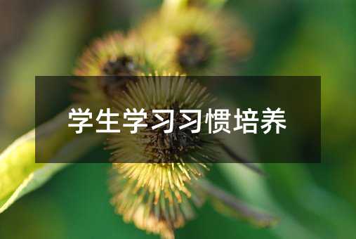 學(xué)生學(xué)習(xí)習(xí)慣培養(yǎng)