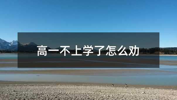 高一不上學(xué)了怎么勸