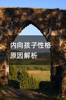 內向孩子性格原因解析