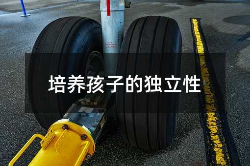 培養(yǎng)孩子的獨(dú)立性