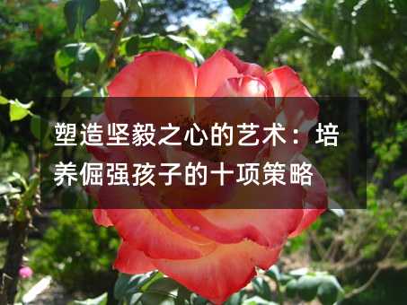 塑造堅毅之心的藝術:培養倔強孩子的十項策略