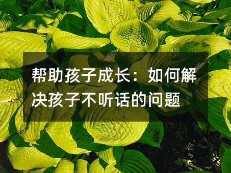 幫助孩子成長(zhǎng):如何解決孩子不聽(tīng)話(huà)的問(wèn)題