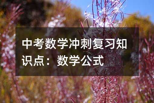пW_֪̏RcWʽ