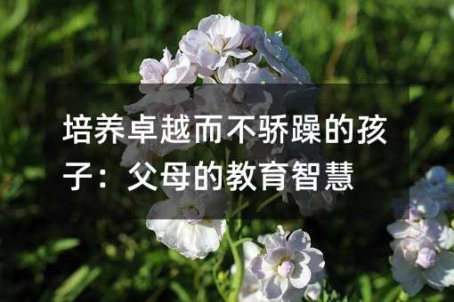 培養(yǎng)卓越而不驕躁的孩子:父母的教育智慧