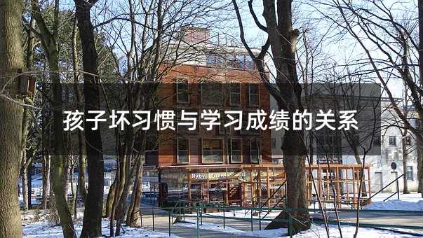孩子壞習慣與學習成績的關系