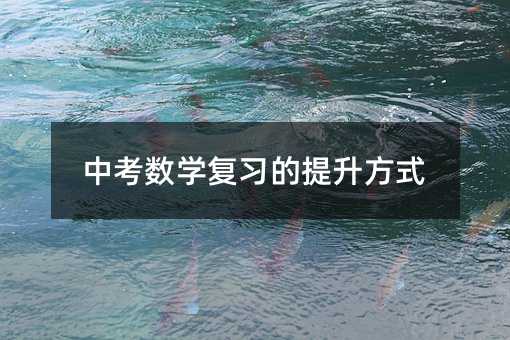 中考數學復習的提升方式