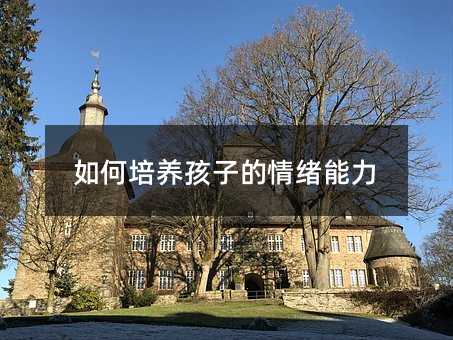 如何培養孩子的情緒能力