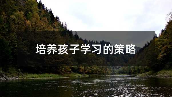 培養孩子學習的策略