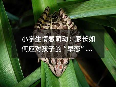 СW(xu)Ȅ(dng)L(zhng)Α(yng)(du)ӵġ١(wn)}
