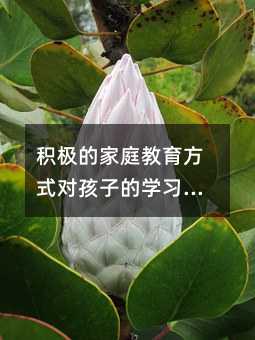 eOļͥʽӵČW(xu)(x)ĵӰ