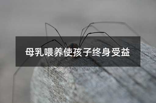 ĸ��ι�Bʹ���ӽK������