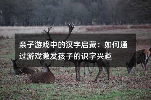 親子游戲中的漢字啟蒙:如何通過游戲激發(fā)孩子的識字興趣