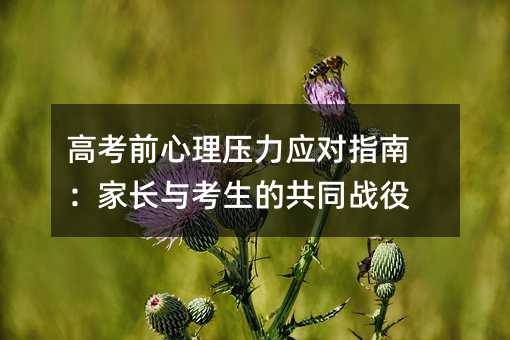高考前心理壓力應(yīng)對(duì)指南:家長與考生的共同戰(zhàn)役